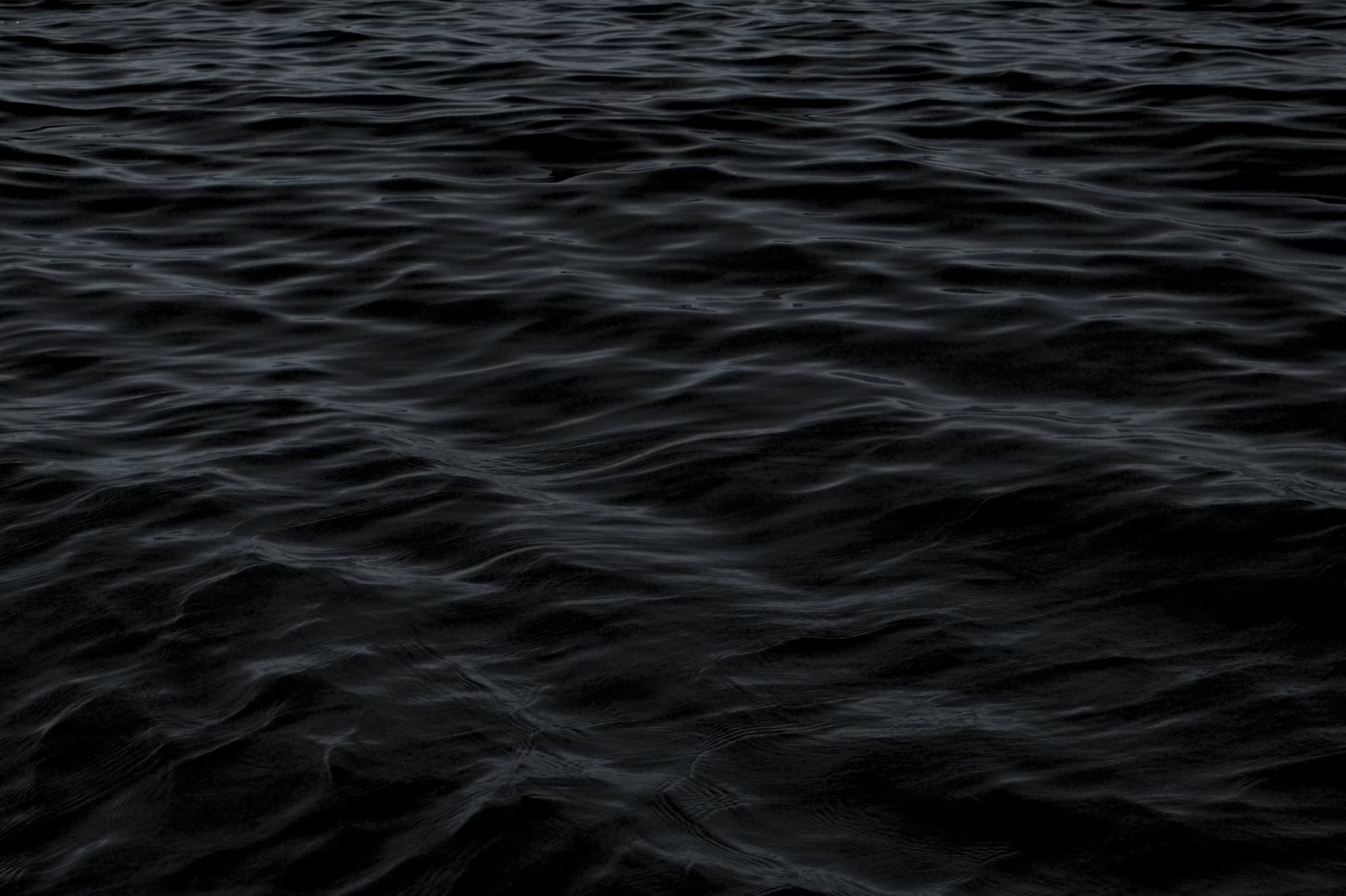 Ode-lírio hero — dark water surface